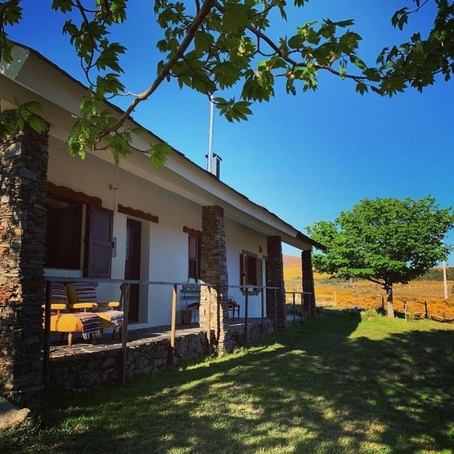 Lago Da Garca Guesthouse São Pedro do Sul Exteriér fotografie