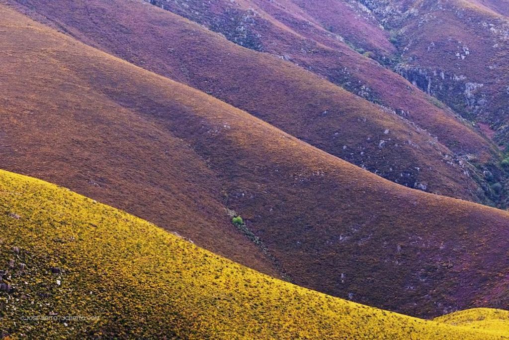 Lago Da Garca Guesthouse São Pedro do Sul Exteriér fotografie