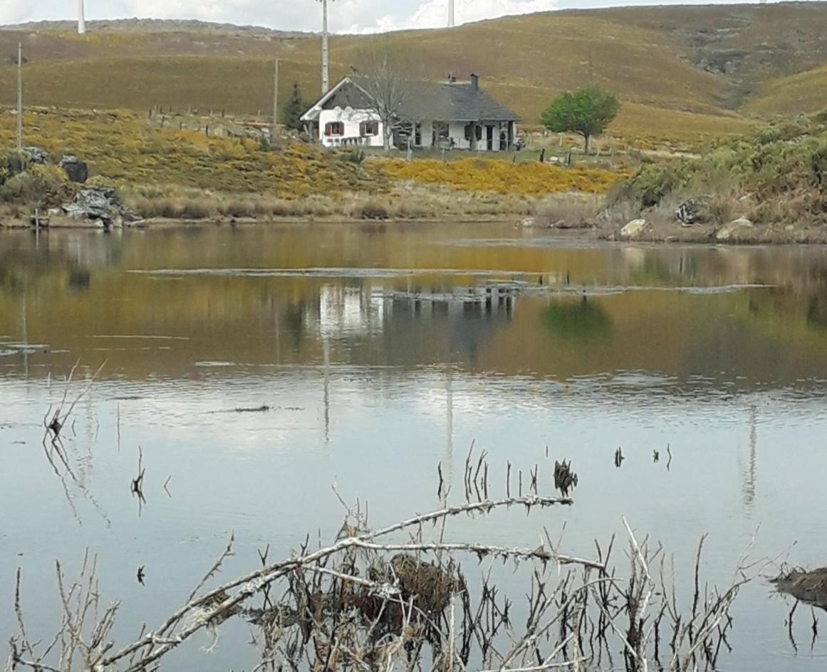 Lago Da Garca Guesthouse São Pedro do Sul Exteriér fotografie